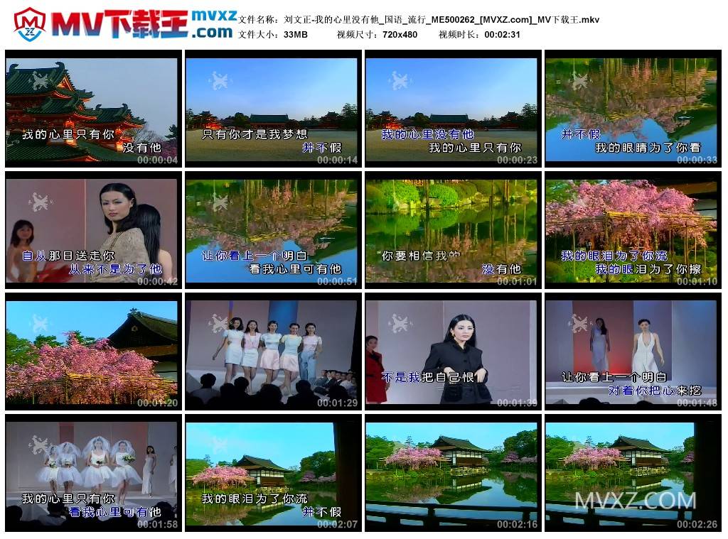 刘文正-我的心里没有他_国语_流行_ME500262